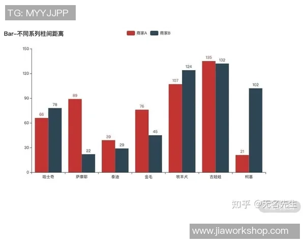 深圳篮球队个人能力分析与数据解读探讨