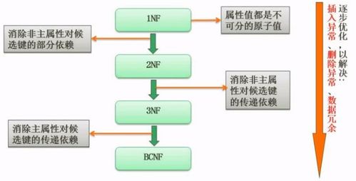 软考 软件设计师 考点总结 数据库技术