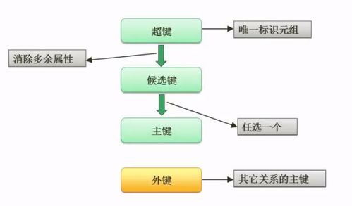 局部er图和全局er图 csdn